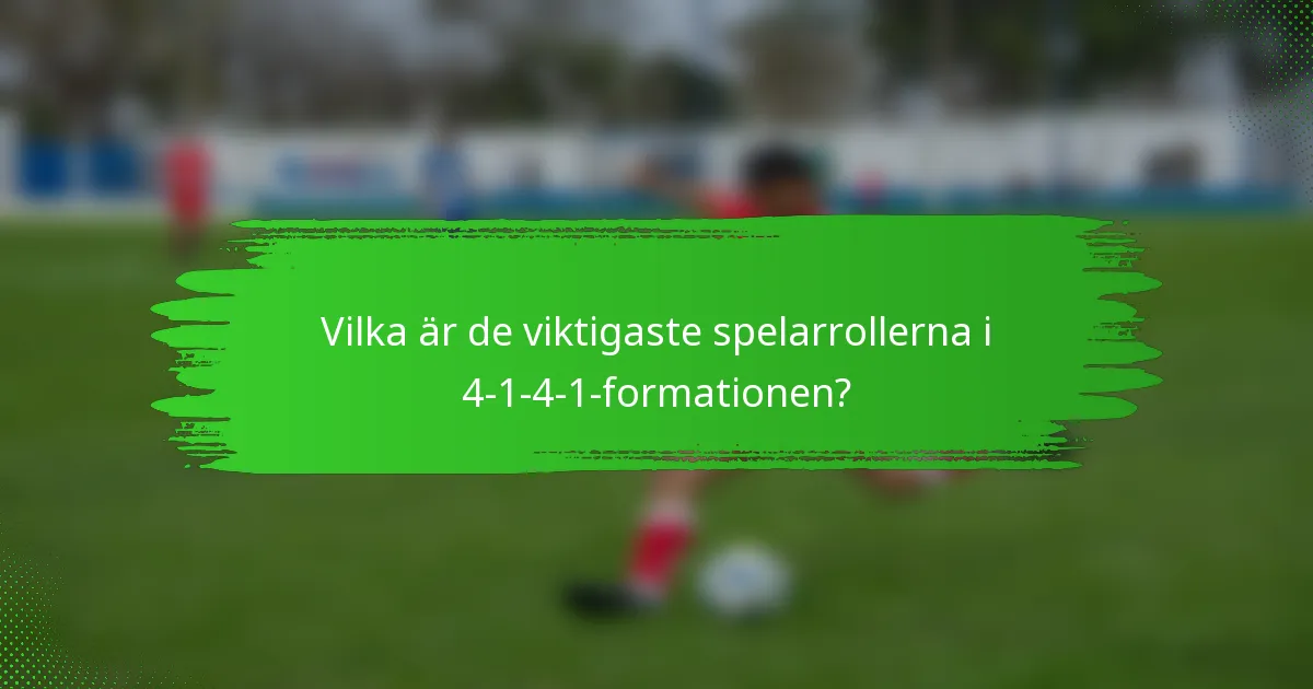 Vilka är de viktigaste spelarrollerna i 4-1-4-1-formationen?